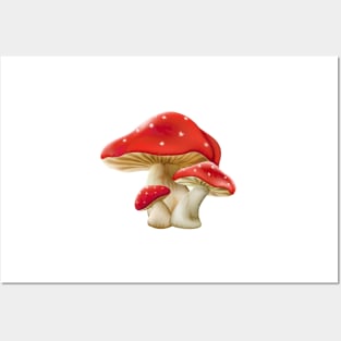 Mushrooms Posters and Art